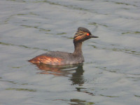 Las Areneras de Sandiás